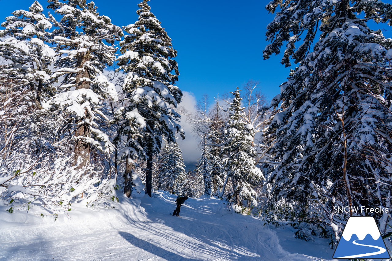 大雪山層雲峡・黒岳ロープウェイスキー場｜雪質も、景色も。やはり黒岳は別格。パウダースノーが舞う、北海道最高所にあるスキー場が営業開始！